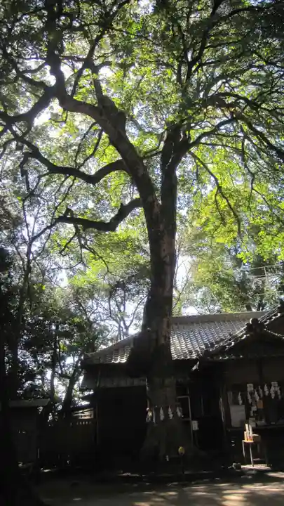 氷川女體神社(埼玉県)