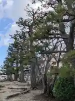 小川熱田社の{uncategorized: "未分類", other: "その他", undefined: "問題あり", building: "その他建物", grave: "お墓", sacred_gate: "鳥居", guardian: "狛犬", statue: "像", buddha: "仏像", history: "歴史", nature: "自然", garden: "庭園", animal: "動物", pagoda: "塔", temizu: "手水舎", mountain_gate: "山門・神門", sanctuary: "本殿・本堂", subordinate: "末社・摂社", art: "芸術", scenery: "景色", jizo: "地蔵", ema: "絵馬", goshuin: "御朱印", omikuji: "おみくじ", items: "授与品その他", amulet: "お守り", goshuincho: "御朱印帳", eats: "食事", festival: "お祭り", votive_dance: "神楽", shichigosan: "七五三参", wedding: "結婚式", experience: "体験その他", initially: "初詣", around: "周辺", anti_infection: "感染症対策"}