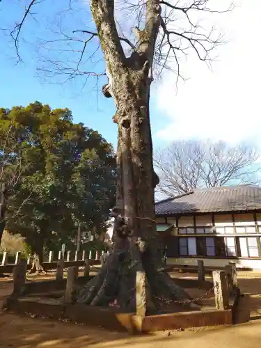 堀兼神社（浅間宮）の{uncategorized: "未分類", other: "その他", undefined: "問題あり", building: "その他建物", grave: "お墓", sacred_gate: "鳥居", guardian: "狛犬", statue: "像", buddha: "仏像", history: "歴史", nature: "自然", garden: "庭園", animal: "動物", pagoda: "塔", temizu: "手水舎", mountain_gate: "山門・神門", sanctuary: "本殿・本堂", subordinate: "末社・摂社", art: "芸術", scenery: "景色", jizo: "地蔵", ema: "絵馬", goshuin: "御朱印", omikuji: "おみくじ", items: "授与品その他", amulet: "お守り", goshuincho: "御朱印帳", eats: "食事", festival: "お祭り", votive_dance: "神楽", shichigosan: "七五三参", wedding: "結婚式", experience: "体験その他", initially: "初詣", around: "周辺", anti_infection: "感染症対策"}