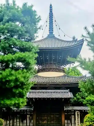 安楽寿院南 (近衞天皇)陵(京都府)