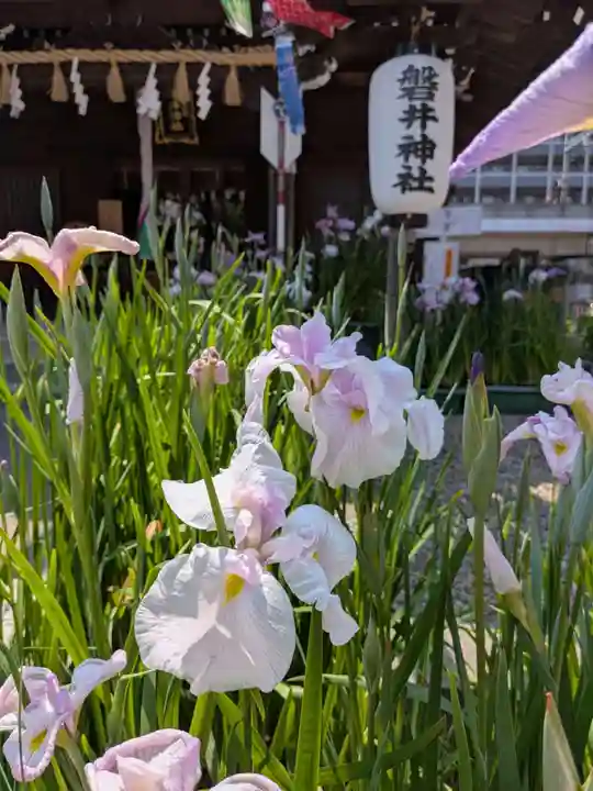 磐井神社(東京都)