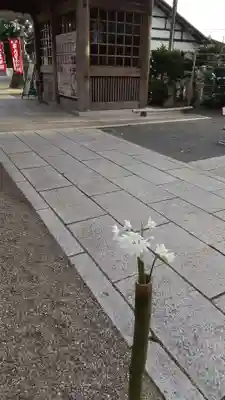 常陸第三宮 吉田神社のその他建物