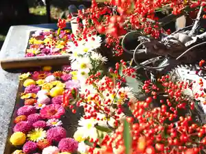 今市報徳二宮神社の手水舎(2022年11月18日(金) 17時17分17秒投稿)