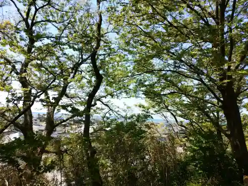 石船神社（岩船神社）の{uncategorized: "未分類", other: "その他", undefined: "問題あり", building: "その他建物", grave: "お墓", sacred_gate: "鳥居", guardian: "狛犬", statue: "像", buddha: "仏像", history: "歴史", nature: "自然", garden: "庭園", animal: "動物", pagoda: "塔", temizu: "手水舎", mountain_gate: "山門・神門", sanctuary: "本殿・本堂", subordinate: "末社・摂社", art: "芸術", scenery: "景色", jizo: "地蔵", ema: "絵馬", goshuin: "御朱印", omikuji: "おみくじ", items: "授与品その他", amulet: "お守り", goshuincho: "御朱印帳", eats: "食事", festival: "お祭り", votive_dance: "神楽", shichigosan: "七五三参", wedding: "結婚式", experience: "体験その他", initially: "初詣", around: "周辺", anti_infection: "感染症対策"}