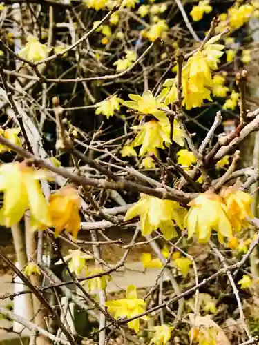 星宮神社の自然