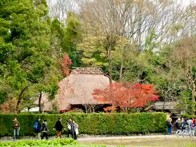 落柿舎(京都府)