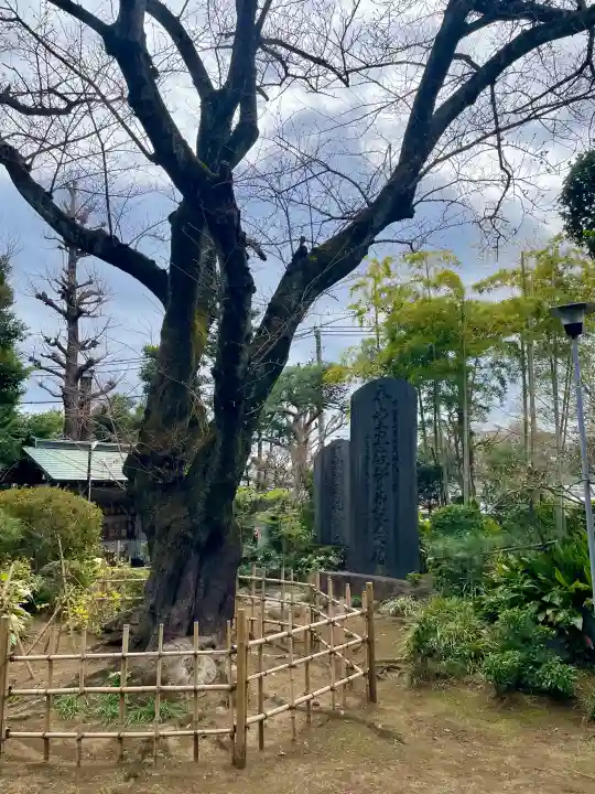 法真寺の{uncategorized: "未分類", other: "その他", undefined: "問題あり", building: "その他建物", grave: "お墓", sacred_gate: "鳥居", guardian: "狛犬", statue: "像", buddha: "仏像", history: "歴史", nature: "自然", garden: "庭園", animal: "動物", pagoda: "塔", temizu: "手水舎", mountain_gate: "山門・神門", sanctuary: "本殿・本堂", subordinate: "末社・摂社", art: "芸術", scenery: "景色", jizo: "地蔵", ema: "絵馬", goshuin: "御朱印", omikuji: "おみくじ", items: "授与品その他", amulet: "お守り", goshuincho: "御朱印帳", eats: "食事", festival: "お祭り", votive_dance: "神楽", shichigosan: "七五三参", wedding: "結婚式", experience: "体験その他", initially: "初詣", around: "周辺", anti_infection: "感染症対策"}