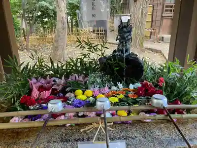 世田谷八幡宮の手水舎