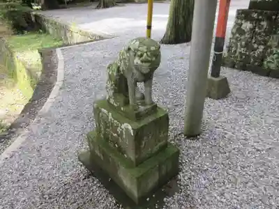 間々田八幡宮の狛犬