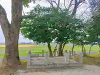 八柱神社の自然