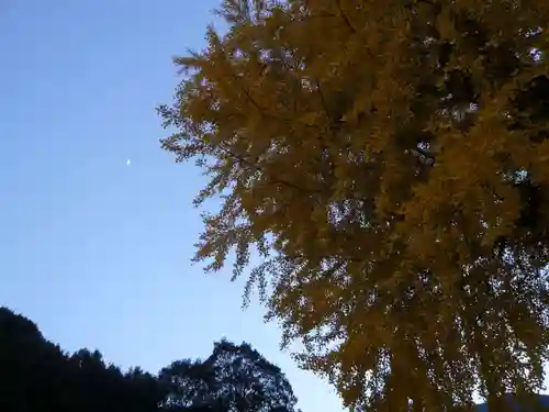 丹生酒殿神社の自然