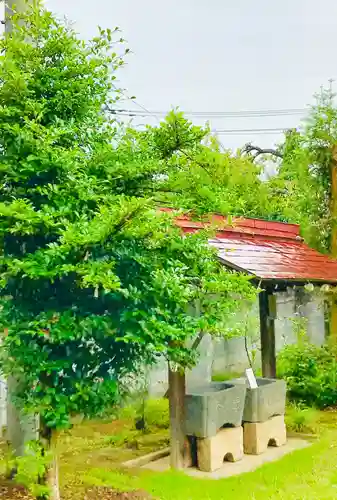 青麻神社の手水舎