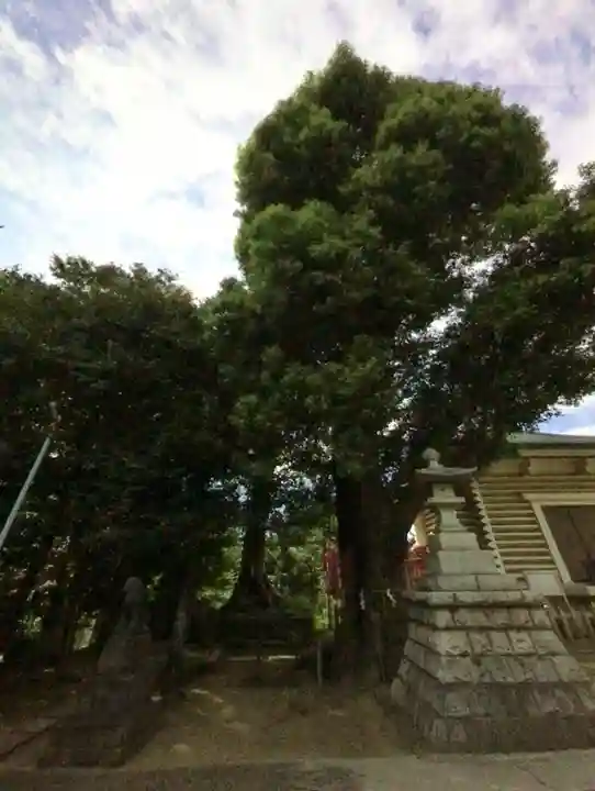 諏訪神社(東京都)