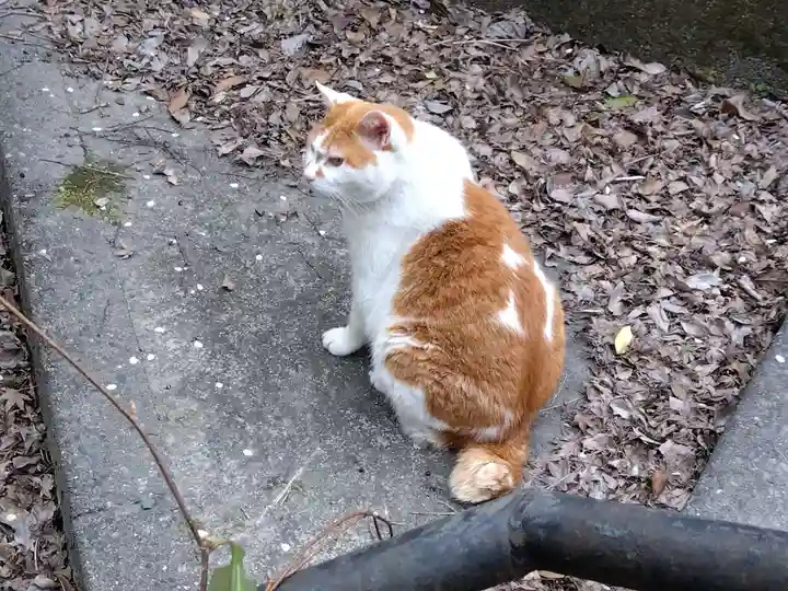 熊野若王子神社(京都府)