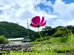 子檀嶺神社の自然