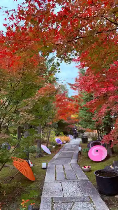 勝林寺(京都府)