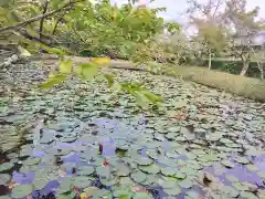 酬恩庵一休寺(京都府)