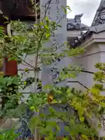 西覚寺(大阪府)