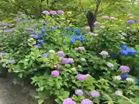 金剛輪寺(滋賀県)