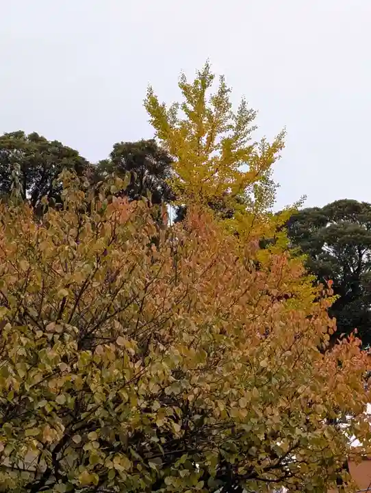 白幡八幡神社(神奈川県)