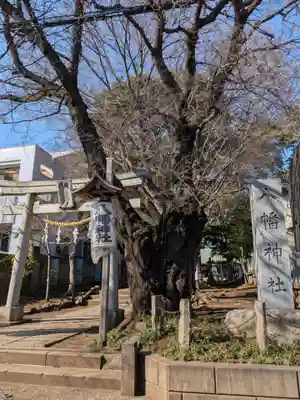 下高井戸八幡神社(東京都)