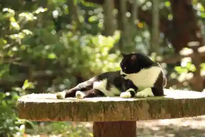 玉野御嶽神社(愛知県)