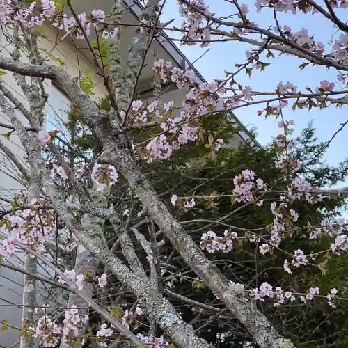 釧路一之宮 厳島神社の自然