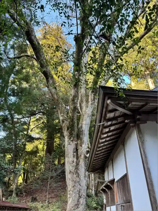 丹生川上神社(下社)(奈良県)