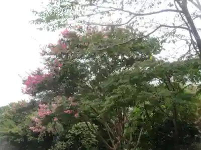 伝通院(東京都)