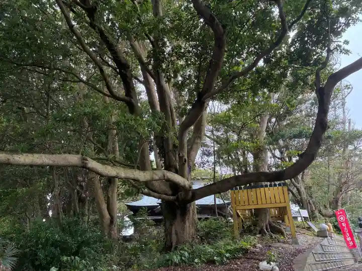 ほしいも神社(茨城県)