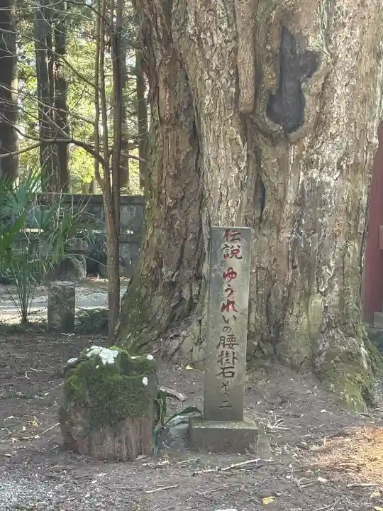 観音寺(寺山観音)の{uncategorized: "未分類", other: "その他", undefined: "問題あり", building: "その他建物", grave: "お墓", sacred_gate: "鳥居", guardian: "狛犬", statue: "像", buddha: "仏像", history: "歴史", nature: "自然", garden: "庭園", animal: "動物", pagoda: "塔", temizu: "手水舎", mountain_gate: "山門・神門", sanctuary: "本殿・本堂", subordinate: "末社・摂社", art: "芸術", scenery: "景色", jizo: "地蔵", ema: "絵馬", goshuin: "御朱印", omikuji: "おみくじ", items: "授与品その他", amulet: "お守り", goshuincho: "御朱印帳", eats: "食事", festival: "お祭り", votive_dance: "神楽", shichigosan: "七五三参", wedding: "結婚式", experience: "体験その他", initially: "初詣", around: "周辺", anti_infection: "感染症対策"}