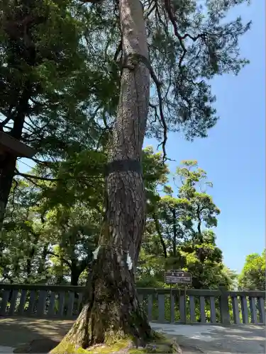 唐澤山神社(栃木県)