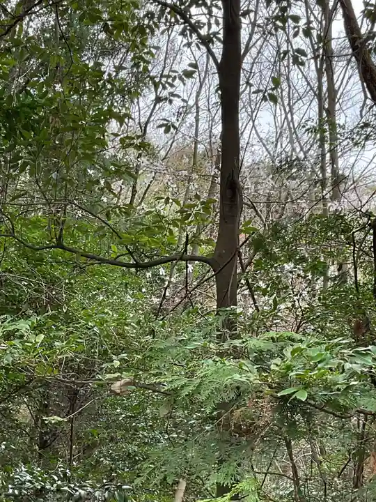 尾張冨士大宮浅間神社(愛知県)