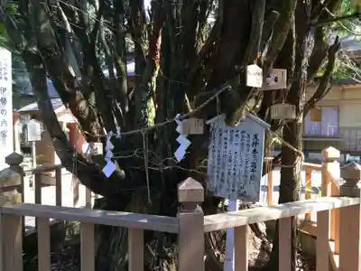 幣立神宮(熊本県)