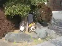 東樹院(神奈川県)