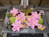 永代寺(東京都)