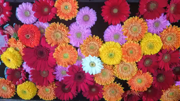 法輪寺の手水舎