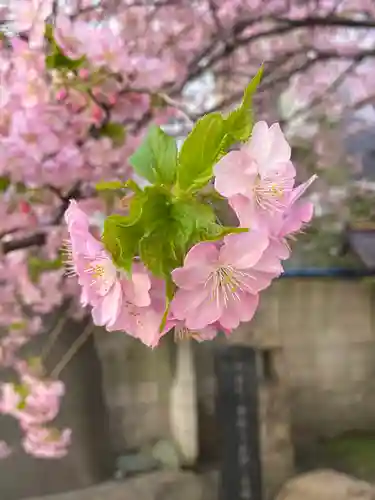 元三島神社(東京都)