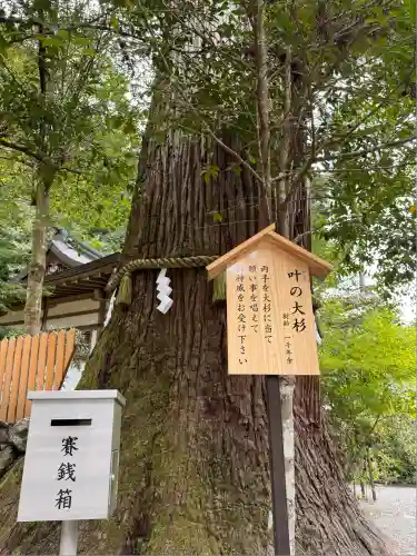 丹生川上神社（中社）(奈良県)