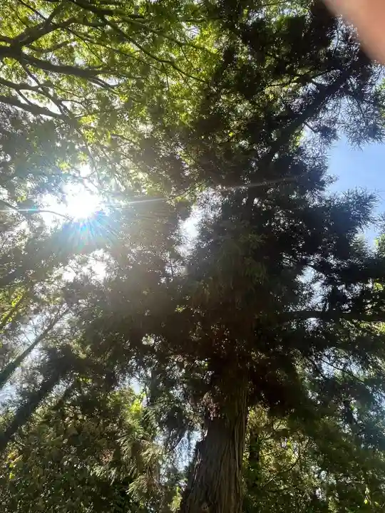 女化神社(茨城県)