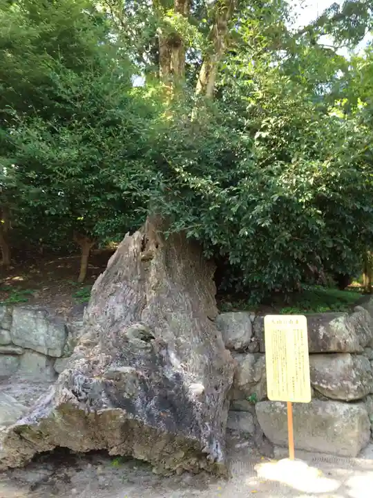 與止日女神社(佐賀県)