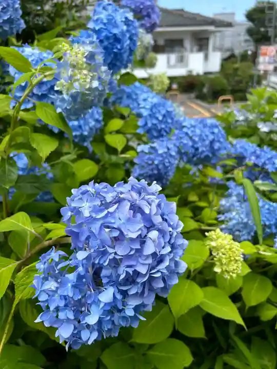 飯綱権現社(東京都)