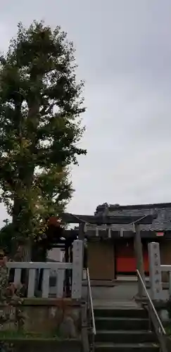 稲荷神社の鳥居