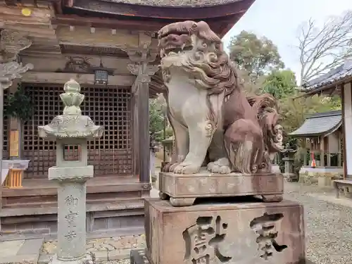 柏原八幡宮の狛犬