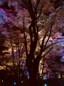 土津神社|こどもと出世の神さまの御朱印(2020年10月31日(土) 18時37分42秒投稿)