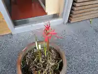 極楽山 浄土寺(北海道)