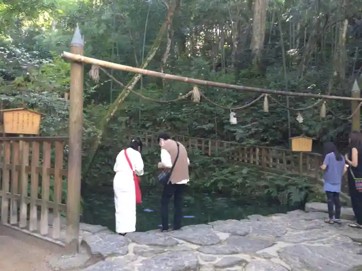 八重垣神社の庭園