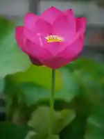 極楽山 浄土寺(北海道)