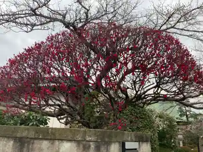 薬師院(神奈川県)