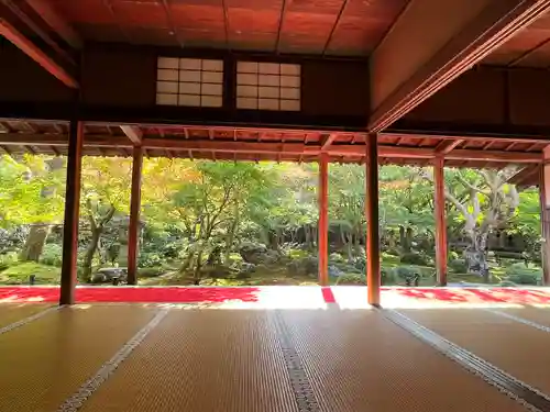 圓光寺(京都府)